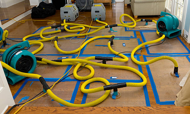 Professional Crawl Space Water Removal technician working in Mount Laguna, CA